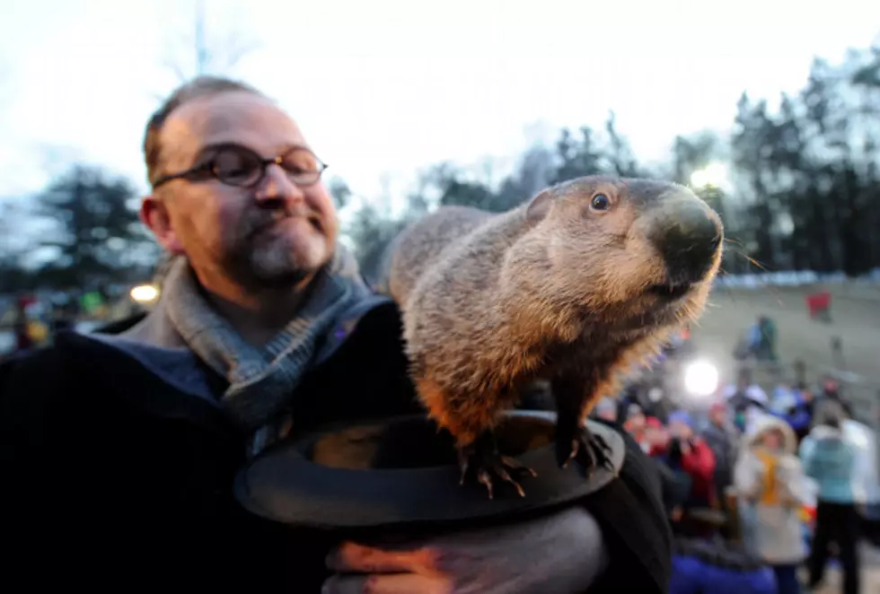 Minnesotans Can Expect Six More Weeks Of Winter