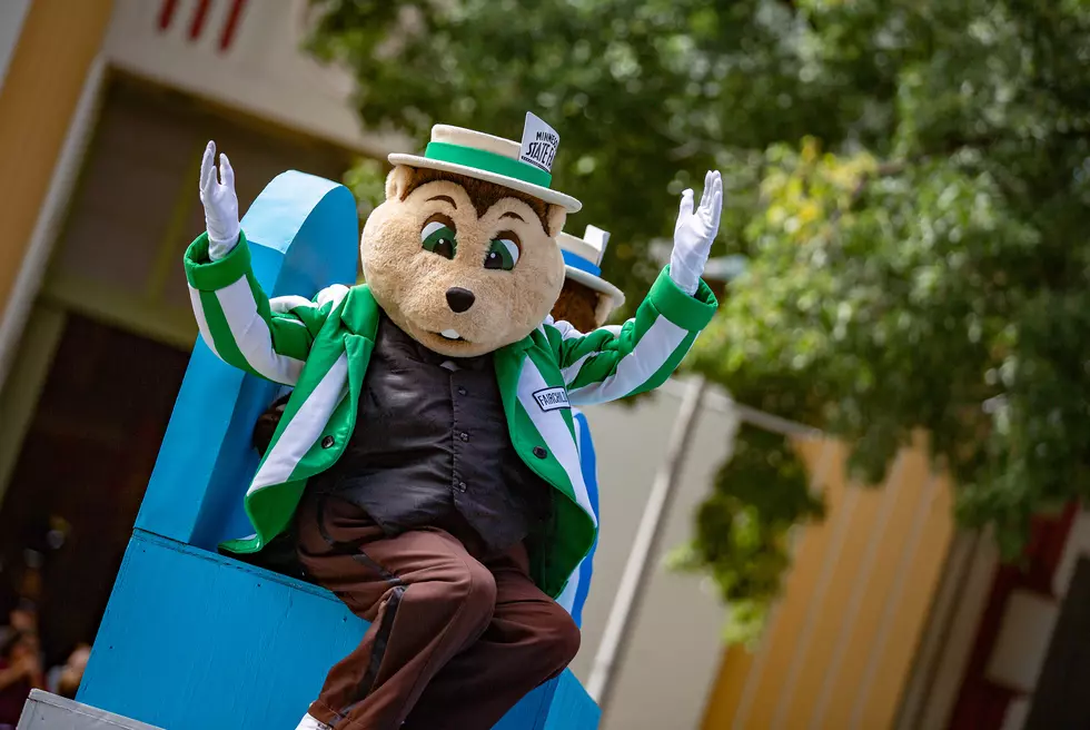 Survival Tips Ahead of the Minnesota State Fair