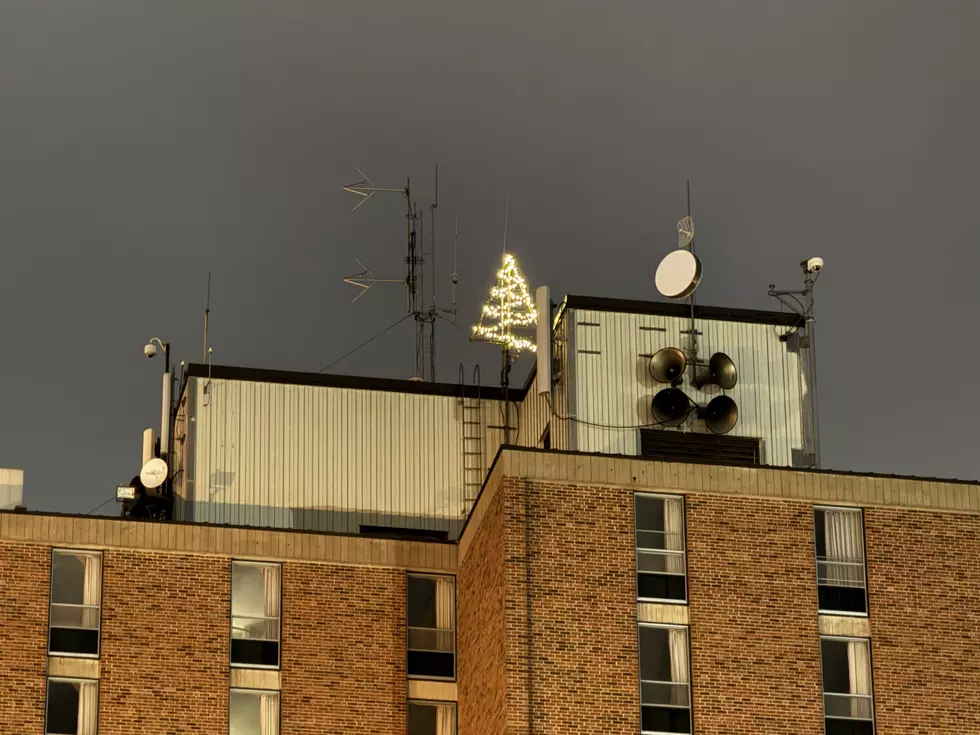 Have You Ever Noticed The Secret Christmas Tree Atop This SCSU Building?