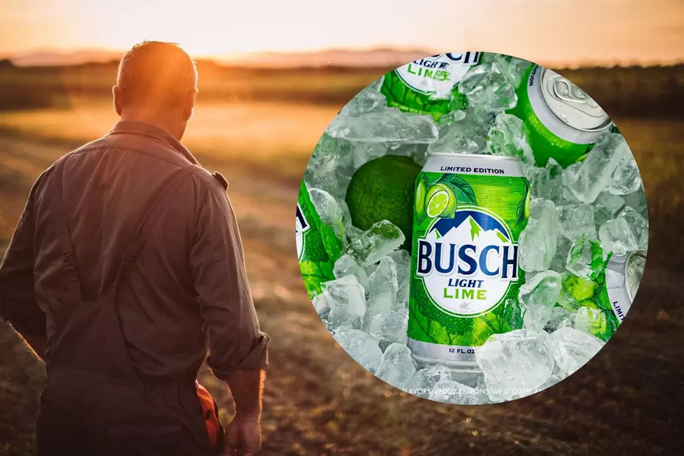 A New Lime Flavor From Busch Light Just In Time For Summer