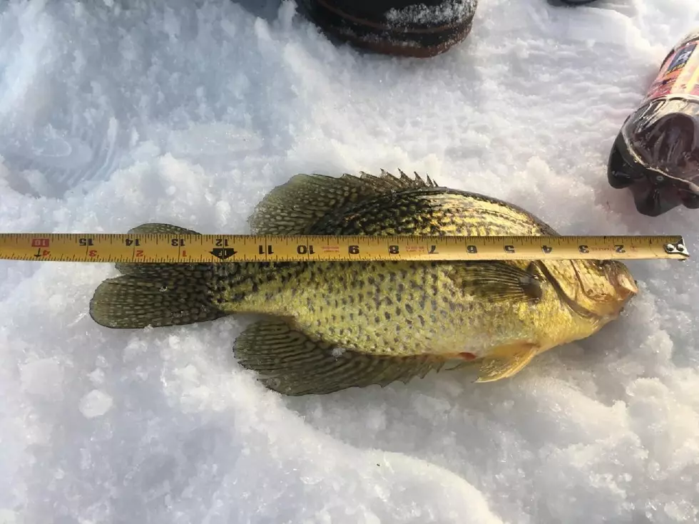 Ice Fishing Is Heating Up In Central Minnesota