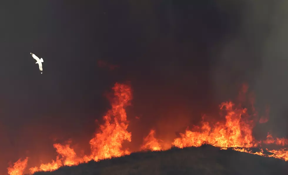Crime Stoppers; Ditch Fires in Benton County
