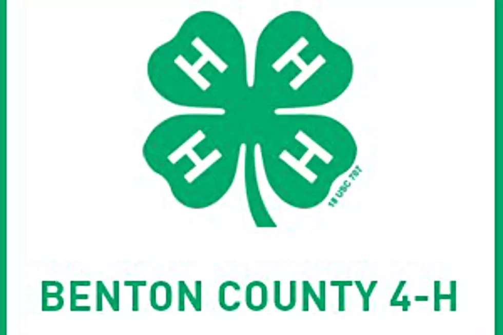 CENTRAL MINNESOTA CAMPS FOR KIDS: PART 10: Benton County 4H Day Camps