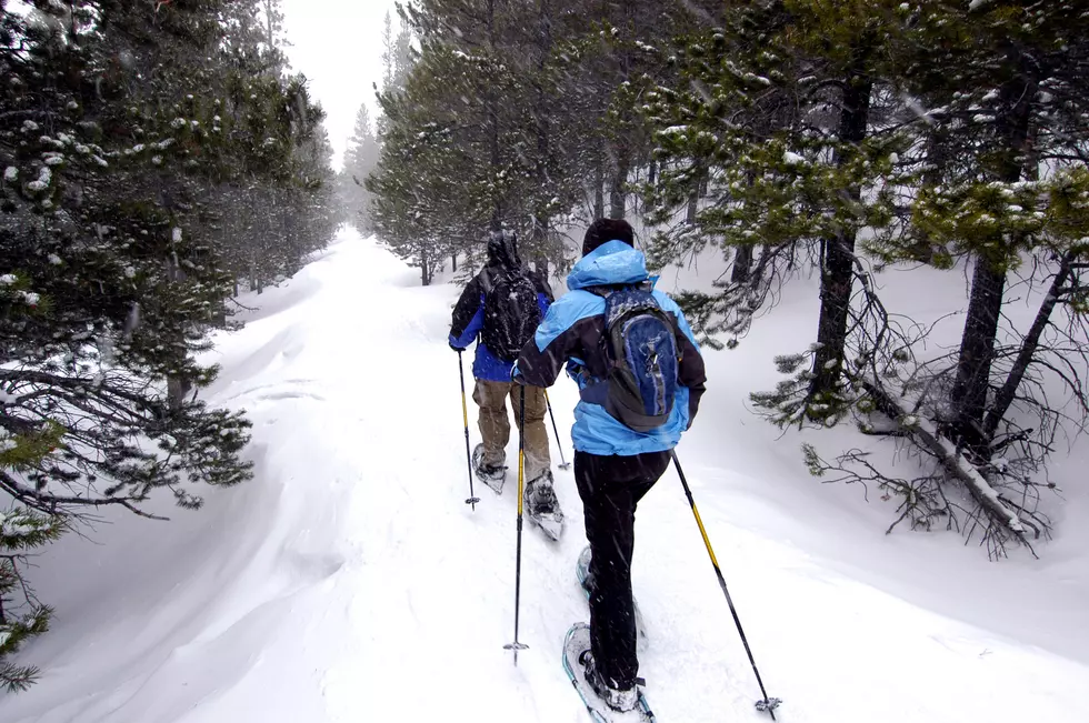 Walk, Snowshoe or Ski by Candlelight at Minnesota State Parks